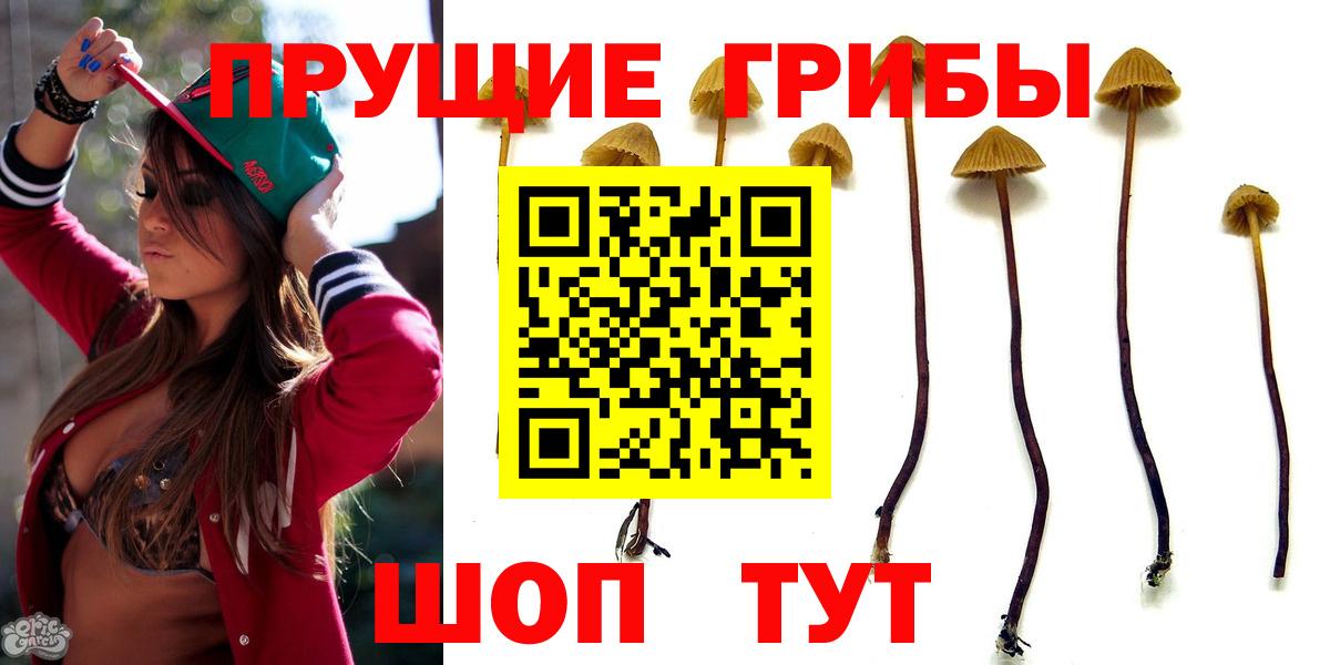 Серпухов  Галлюциногенные грибы Magic Shrooms  Вход с VPN 